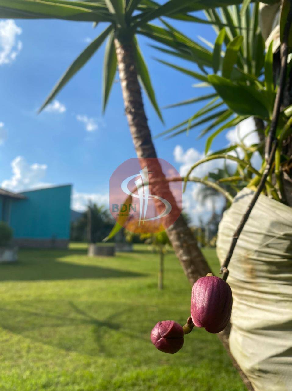 Fazenda à venda com 4 quartos, 5531m² - Foto 9