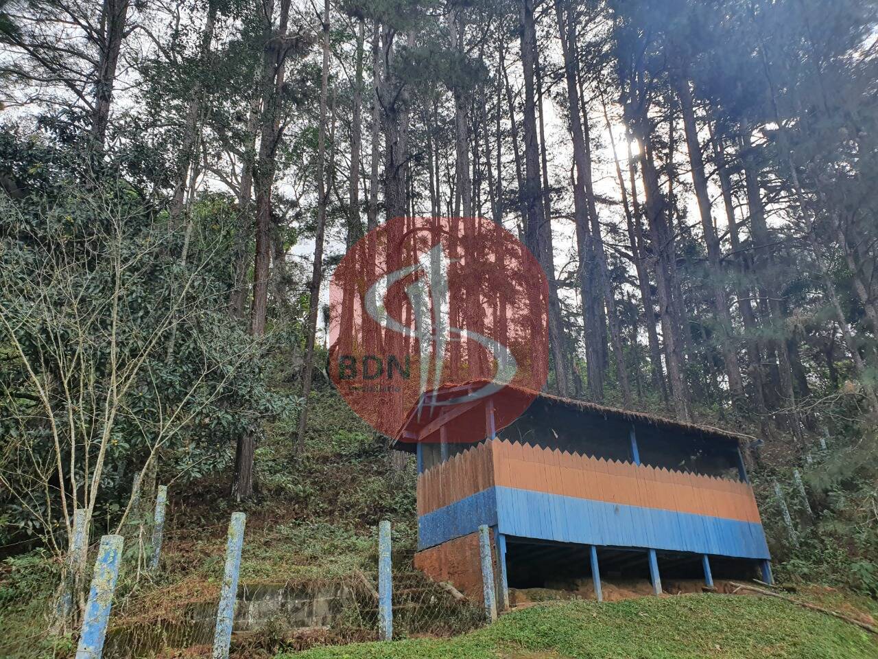 Fazenda à venda com 3 quartos, 2000m² - Foto 22